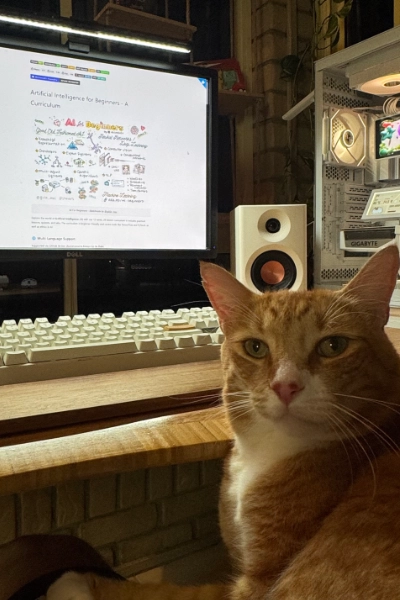 Cedrik — Web by Varis office cat Cedrik the cat at the Web by Varis office